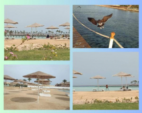 Scandic Resort: Comfy & Cozy. A433